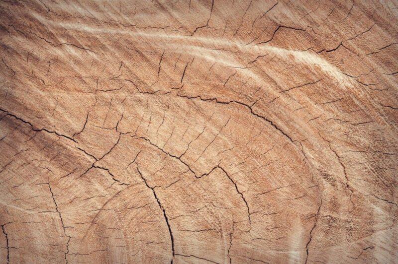 Background nâu vết nứt thân gỗ