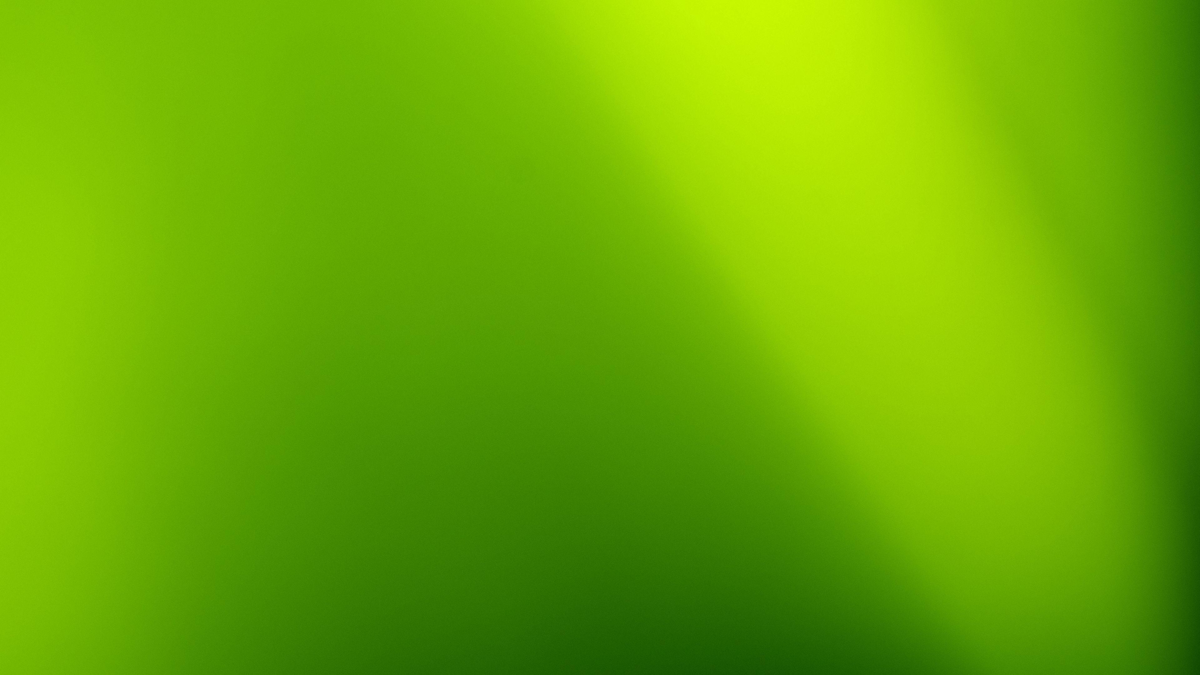 Background xanh Lá cây đậm