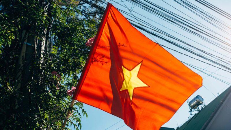 Ảnh nền cờ Việt Nam đẹp dưới tán cây