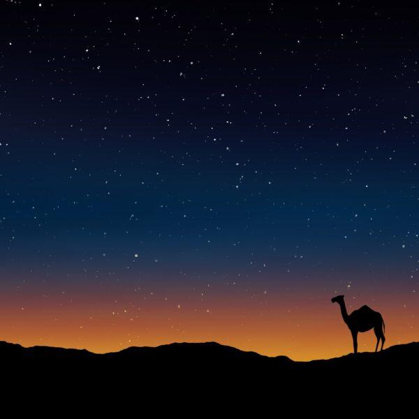 Hình nền iPad Pro chiều tối trên xa mạc