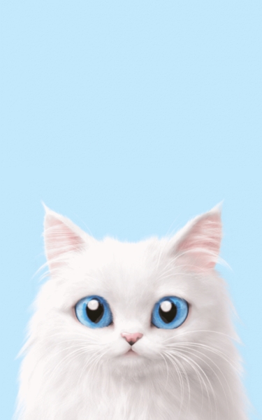 Hình nền mèo cute cho điện thoại lông trắng