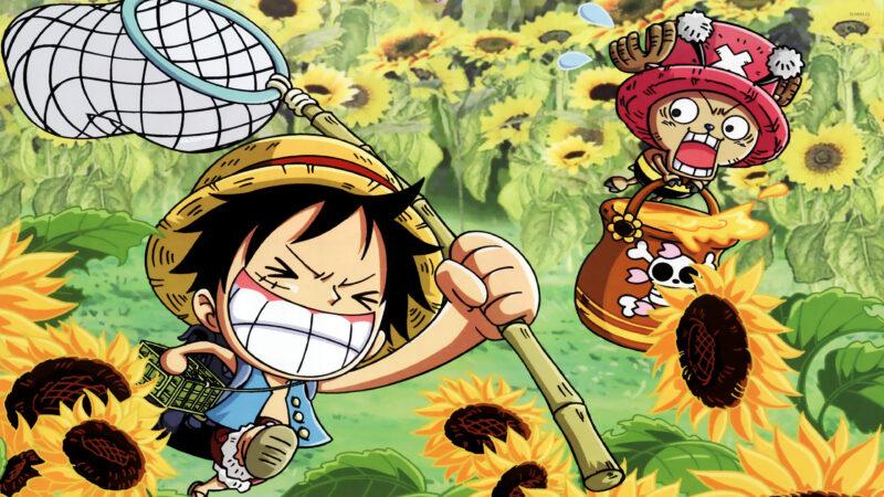 Hình Nền One Piece 4K Đẹp cho Điện Thoại và Máy Tính-24