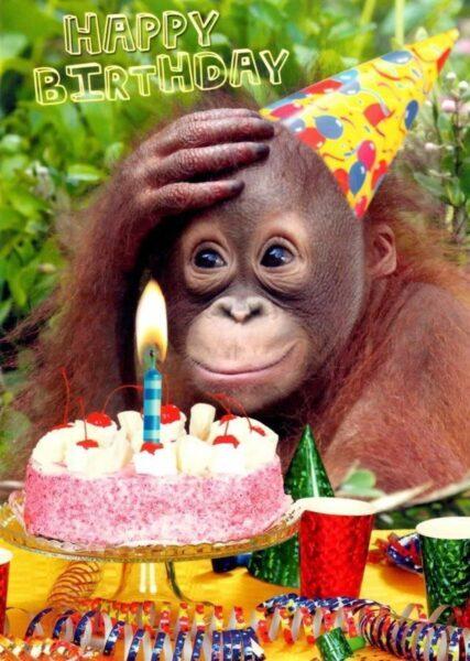 hình nền sinh nhật lấp lánh chú khỉ cute