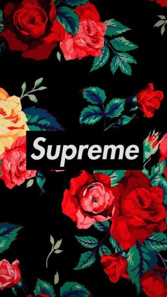 LV Supreme wallpaper by Br0kn  Download on ZEDGE  dded