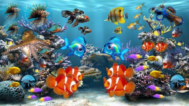 Hình nền cá 3D đa dạng nhất
