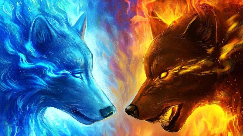 Hình nền lửa và băng sói đối đầu nhau