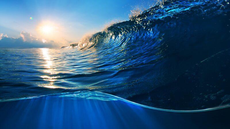 hình ảnh  Nước đại dương làn sóng dưới nước sinh học màu xanh da  trời Rạn san hô Hình nền máy tính sinh vật biển Cá biển sâu 4000x3000   