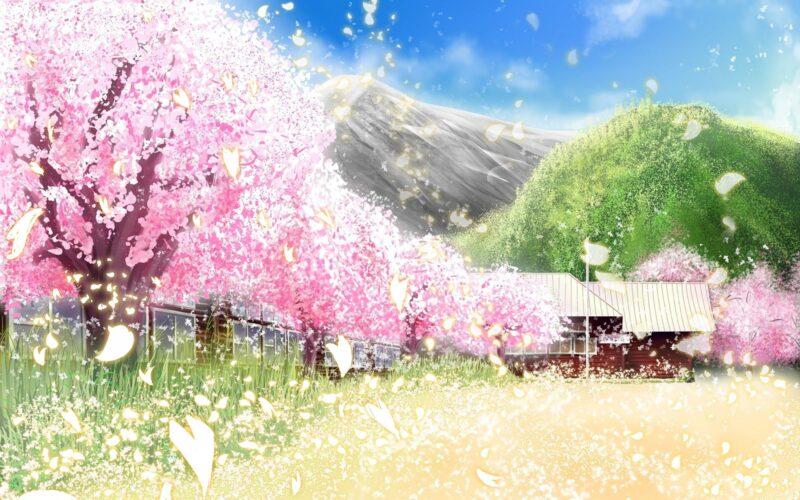 Hình nền hoa đào Anime tuyệt đẹp