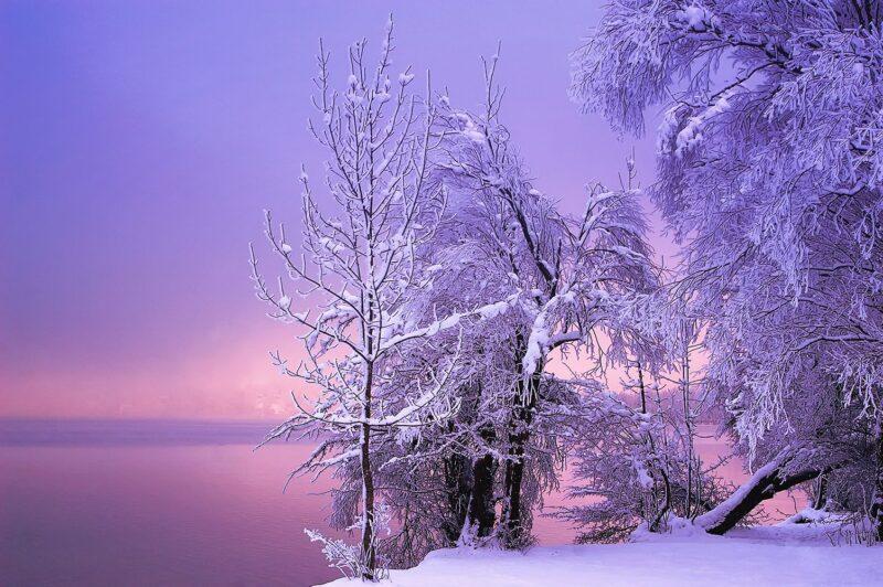 Hình ảnh mùa đông tuyệt đẹp