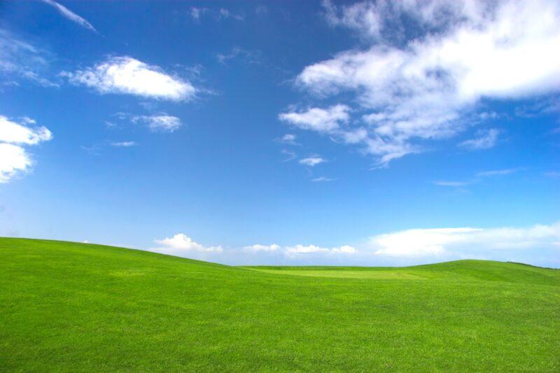 Hình nền bãi cỏ xanh đẹp