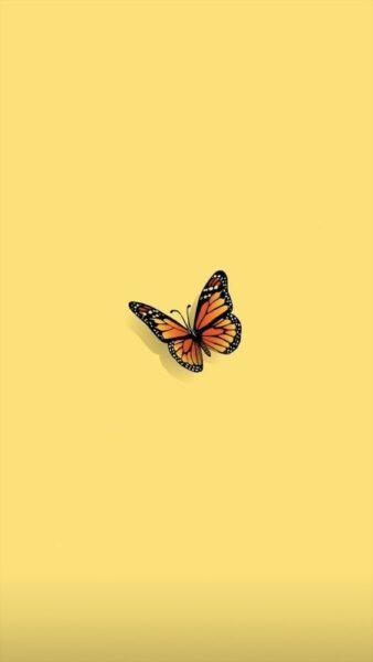 hình nền màu vàng nhạt con bướm