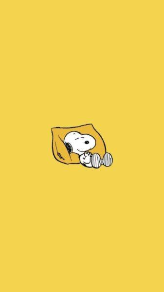 hình nền màu vàng chú chó hoạt hình cute