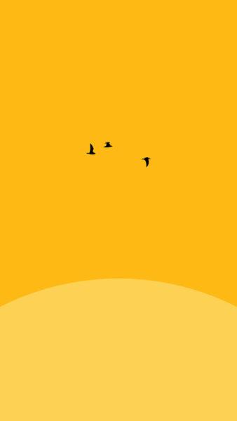 hình nền màu vàng đơn giản và những chú chim én